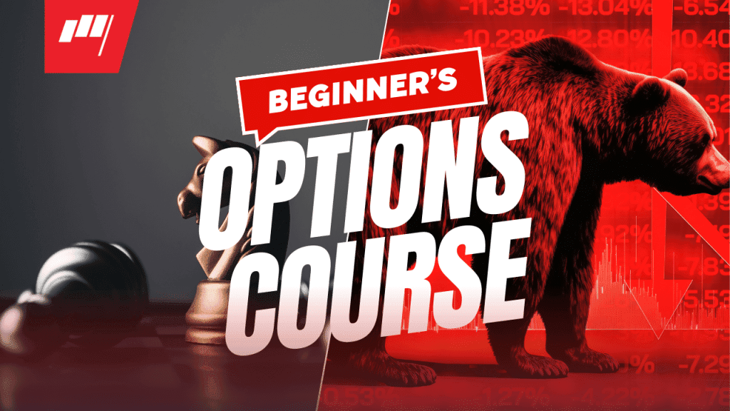 Beginner's Options Course