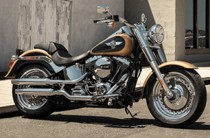 Bears ride high as Harley hits skids