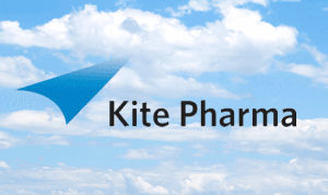 Bulls flying high with Kite Pharma