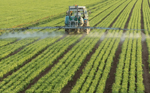 Potash is fertile ground for calls