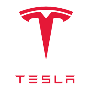 Option Traders Ride the Profit in $TSLA