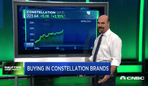 $STZ bulls toast strong numbers