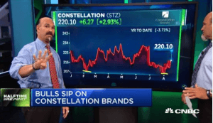 $STZ bulls double their money
