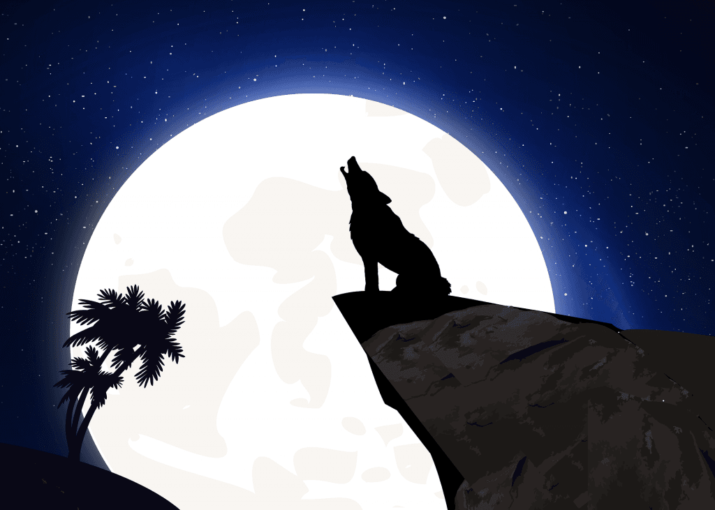 $6k Bitcoin Market Surge or Massive Bull Trap Incoming?