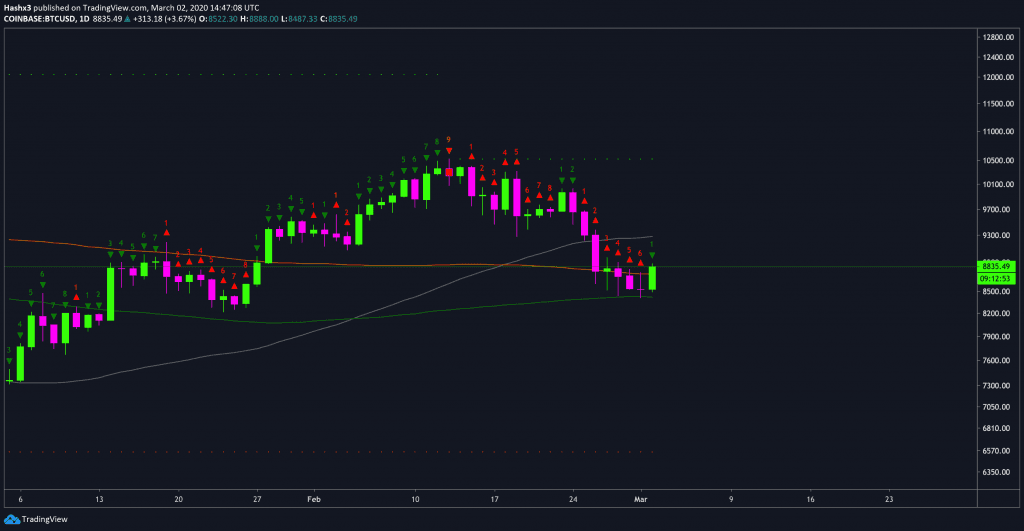 Bitcoin Bounces Back to $8.8k