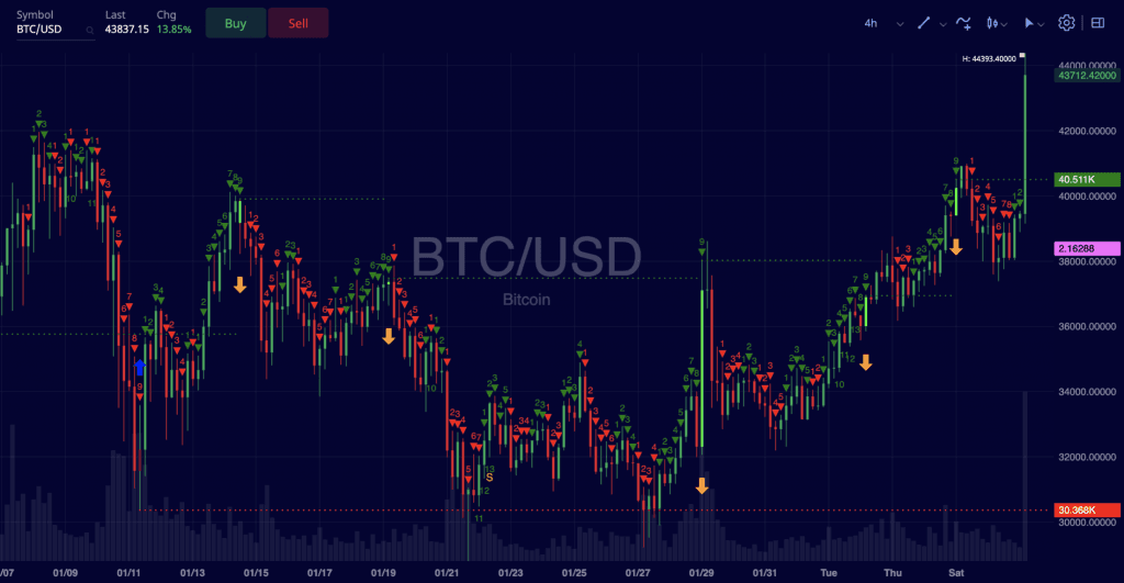 Bitcoin Rallies as Tesla Takes Bullish Stance