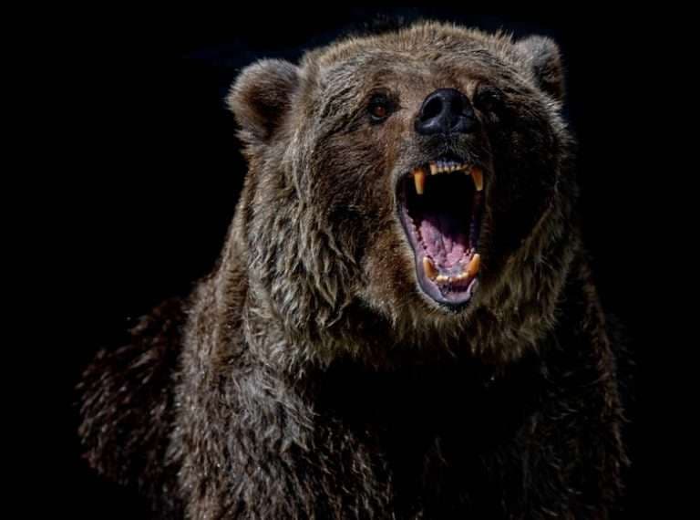 Citigroup Says S&P to Fall to 4,000 — Here’s Their Track Record