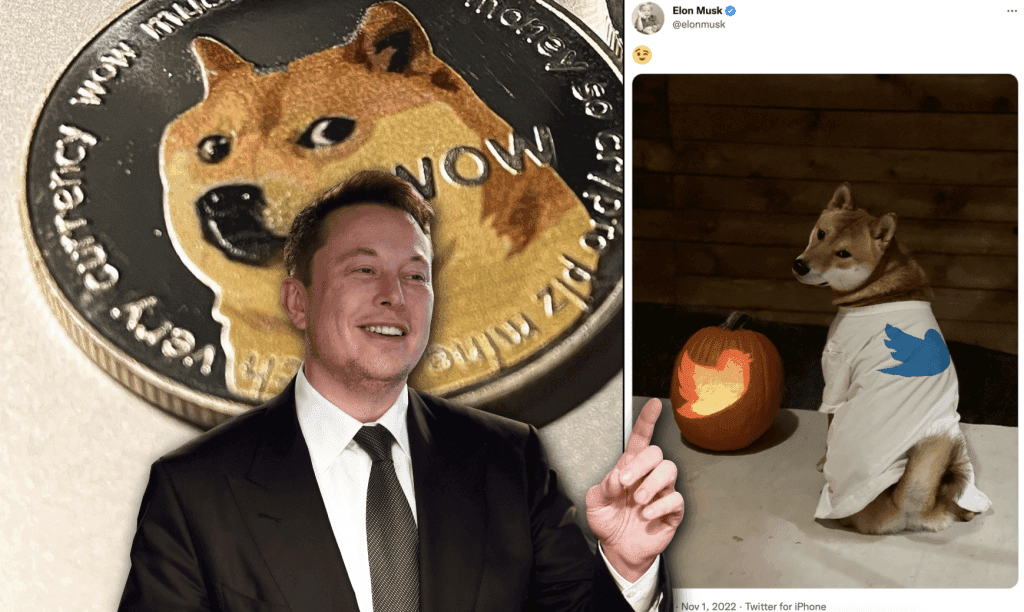 Elon Musk Doge Tweet: What Does It Mean?