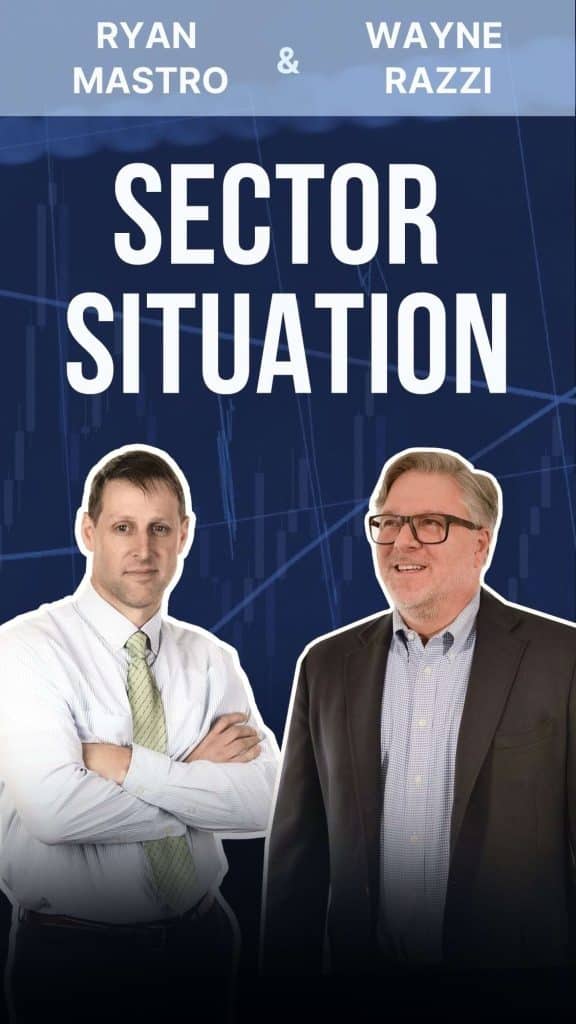 Sector Situation